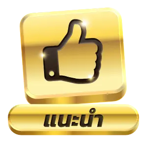 icon1
